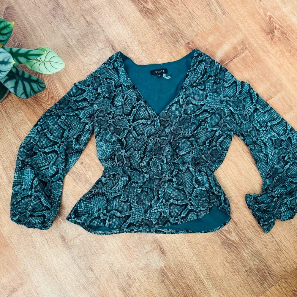 Teal Snake-Print V-Neck Blouse